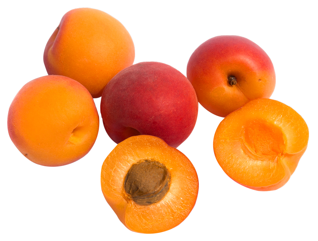 Apricot Fruit Png HD Free Download