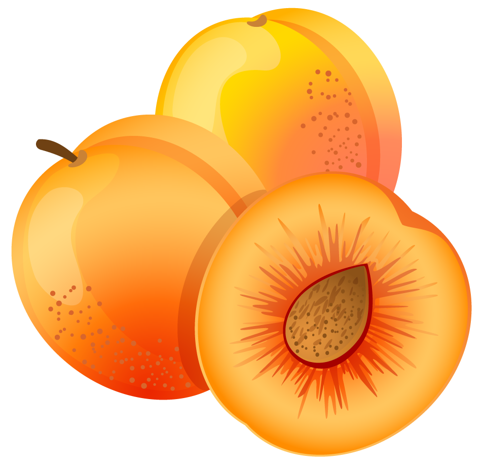 Apricot Fruit Png HD Free Download