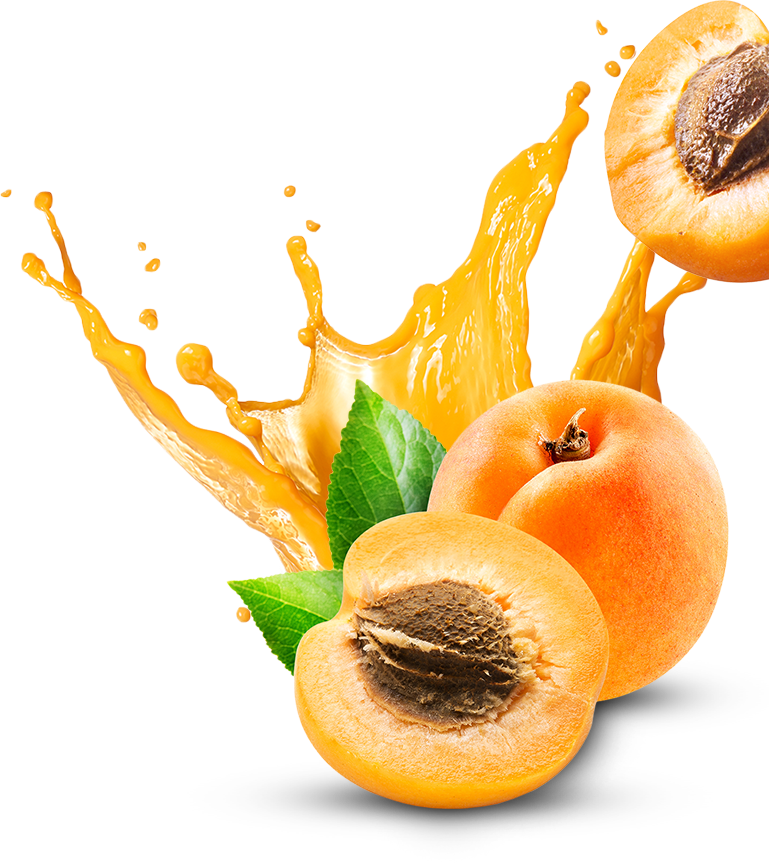 Apricot Fruit Slice Png HD Free Download