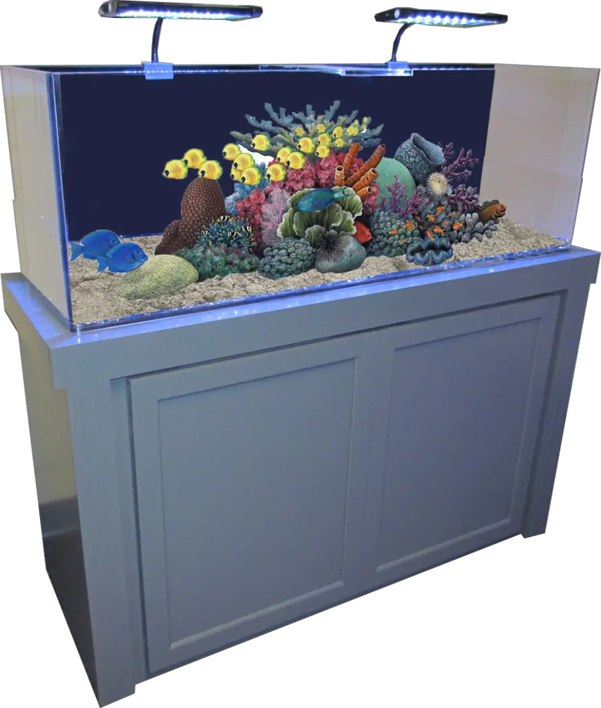 Fish Tank Aquarium Png HD Free Download