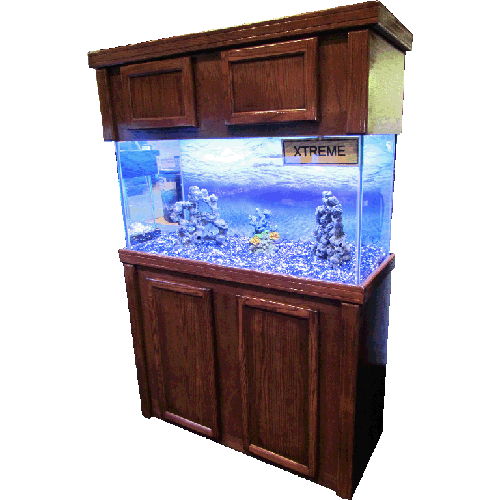 Fish Tank Aquarium Png HD Free Download