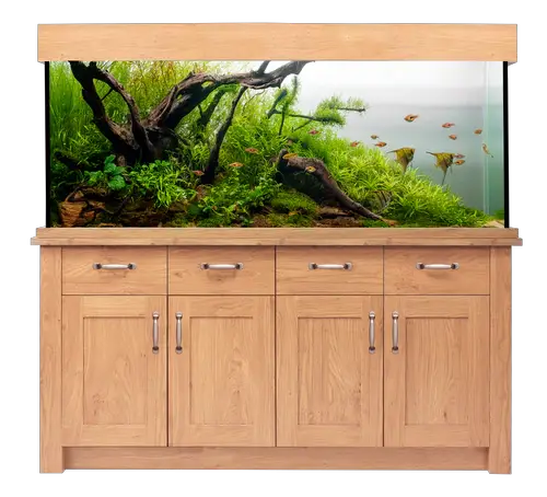 Images Fish Tank Aquarium Png HD Free Download