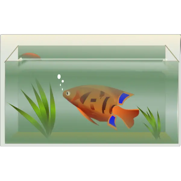 Fish Tank Aquarium Png HD Free Download