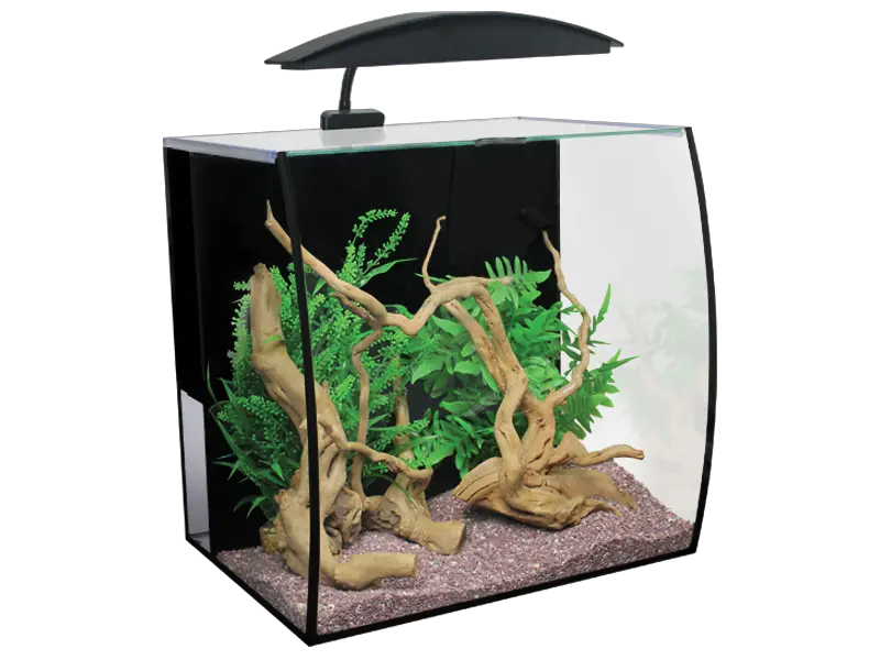 Glass Fish Tank Aquarium Png HD Free Download