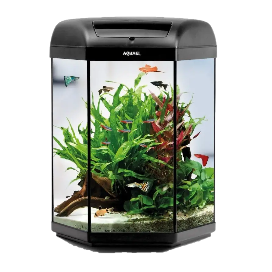 Glass Fish Tank Aquarium Png HD Free Download