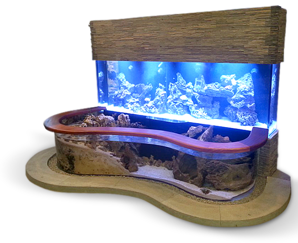 Glass Fish Tank Aquarium Picture Png HD Free Download