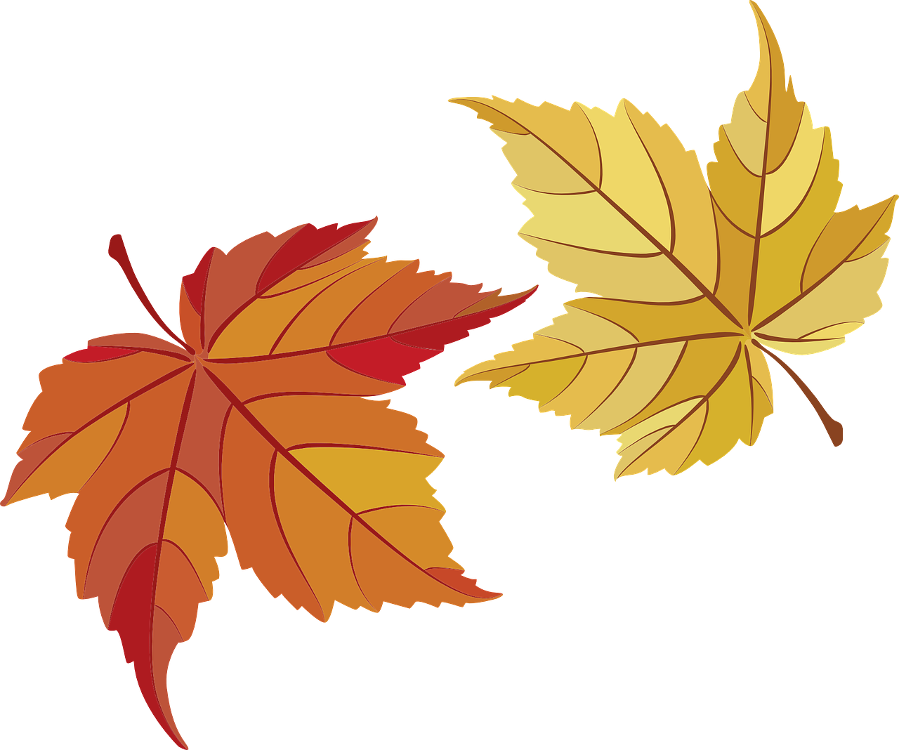 Autumn Golden Leaf Png HD Free Download