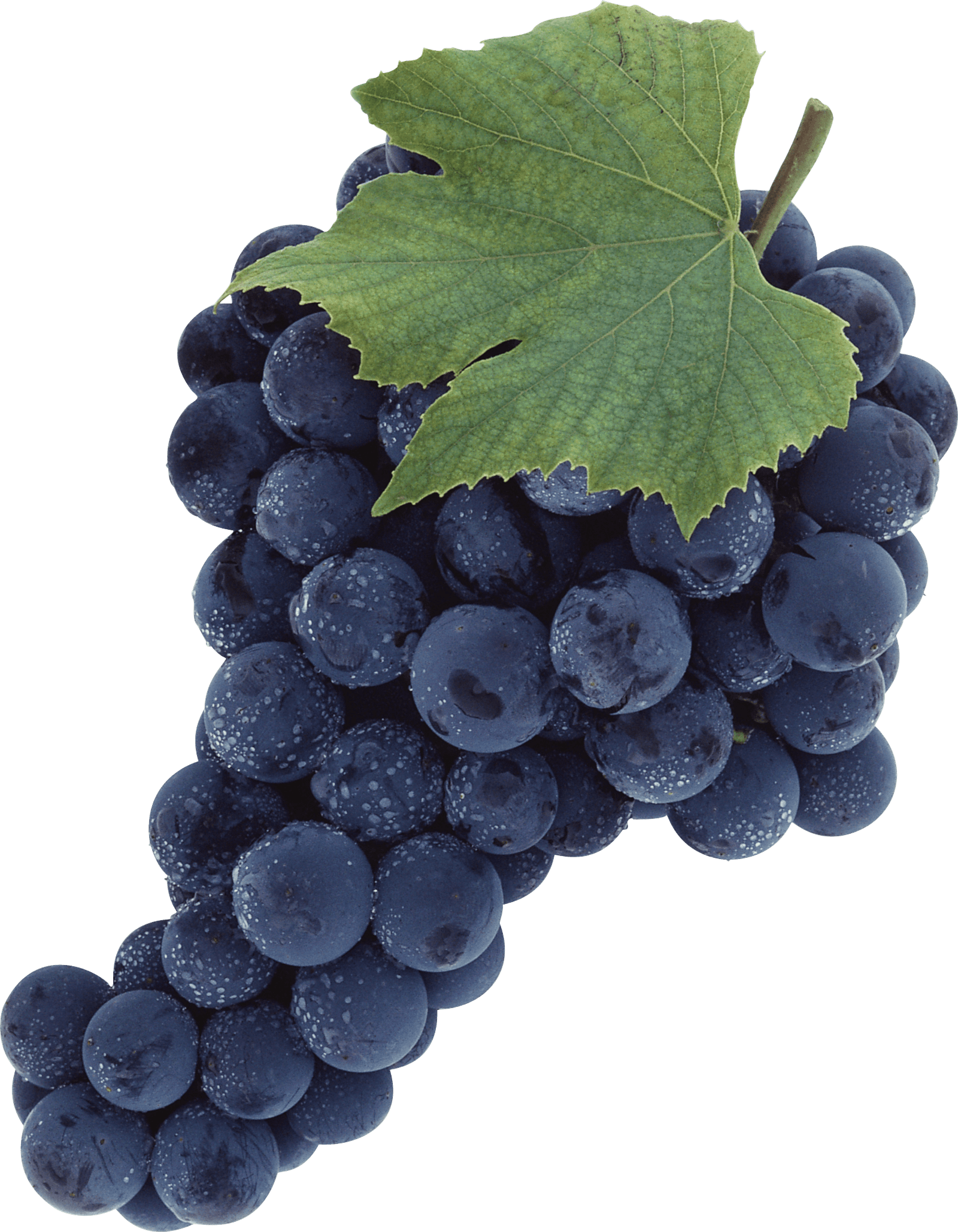 Organic Black Grapes Png HD Free Download