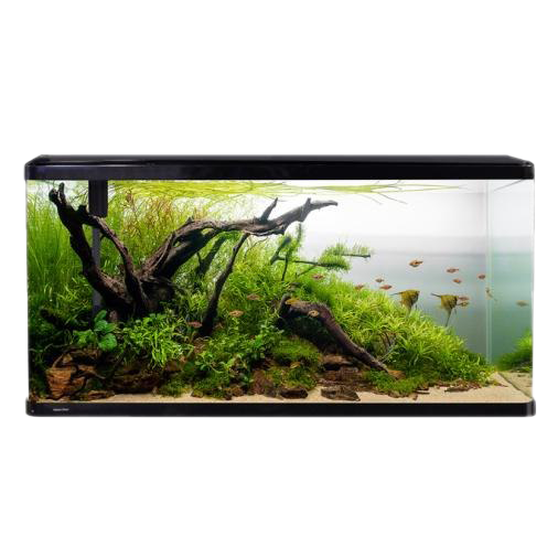 Glass Fish Tank Aquarium Png HD Free Download