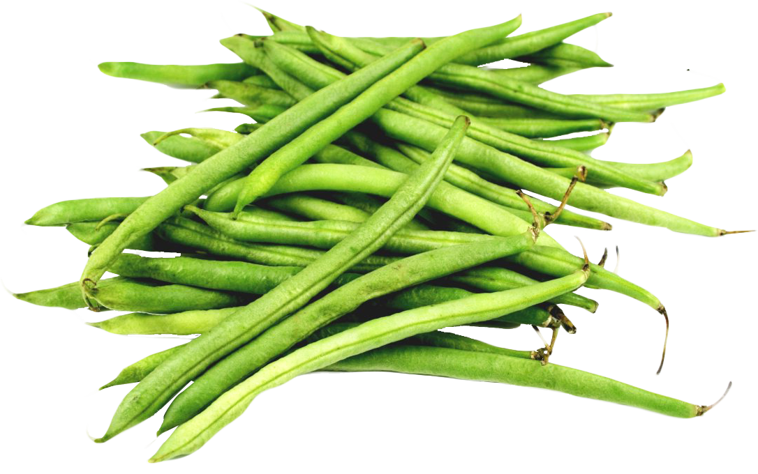 Beans Green Png HD Free Download