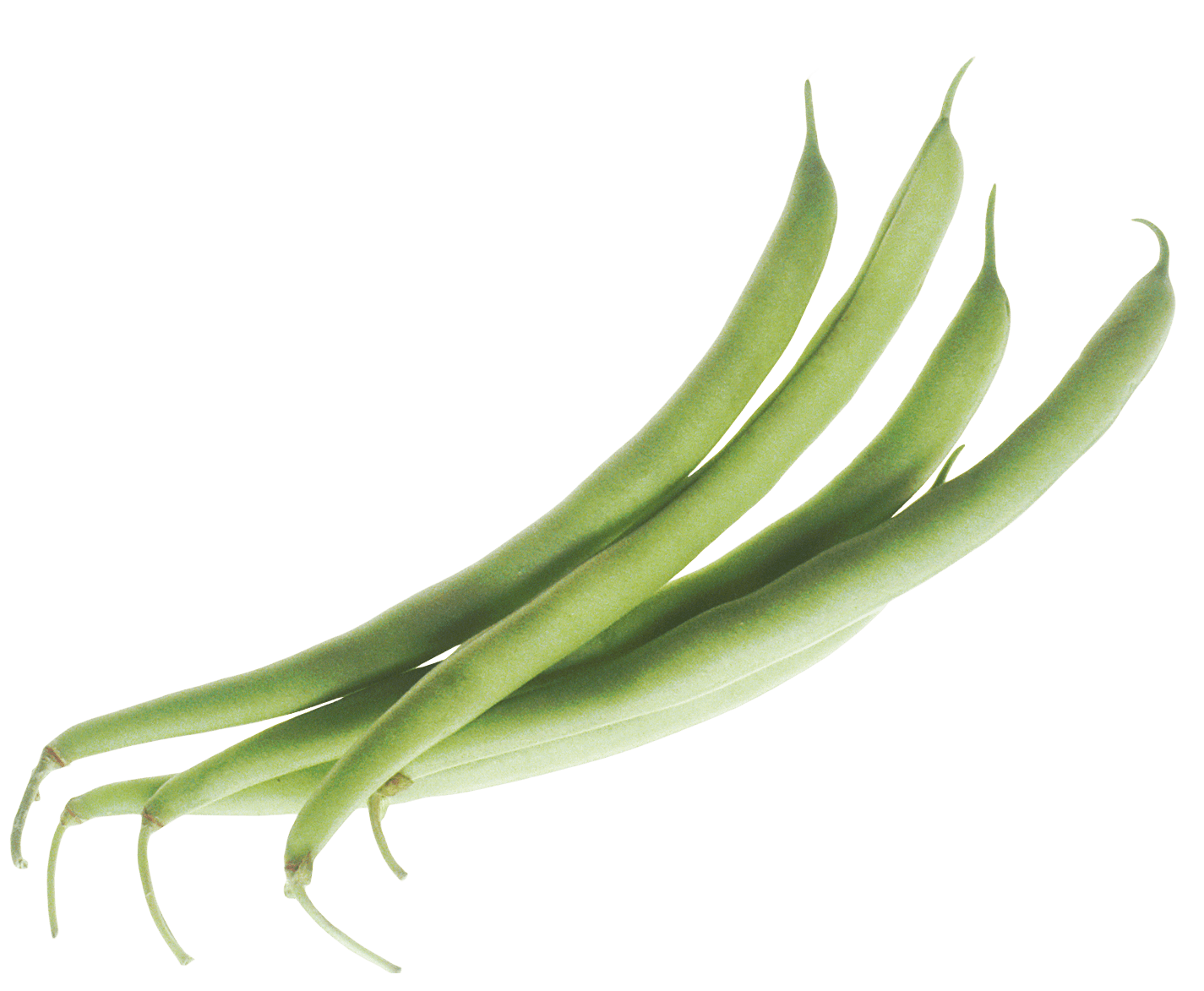 Vegetable Beans Green Png HD Free Download