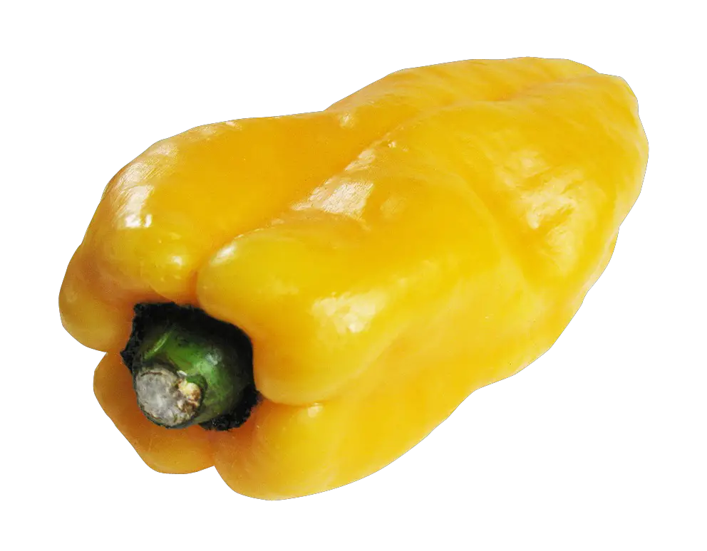 Chilli Pepper Yellow Bell Png HD Free Download