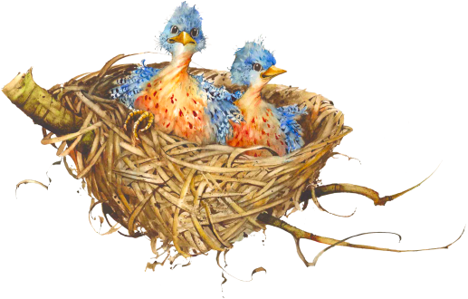 Nest Art Bird Png HD Free Download