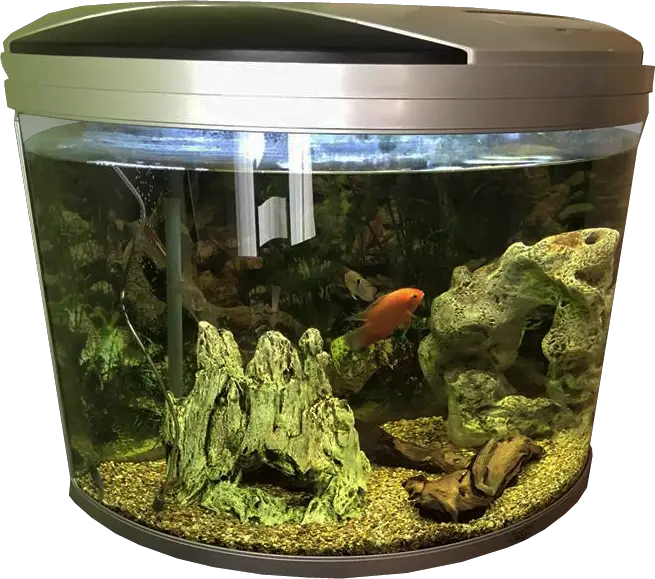 Gallon Fish Tank Aquarium Png HD Free Download