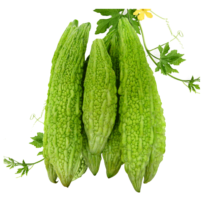 Gourd Leaves Bitter Png HD Free Download