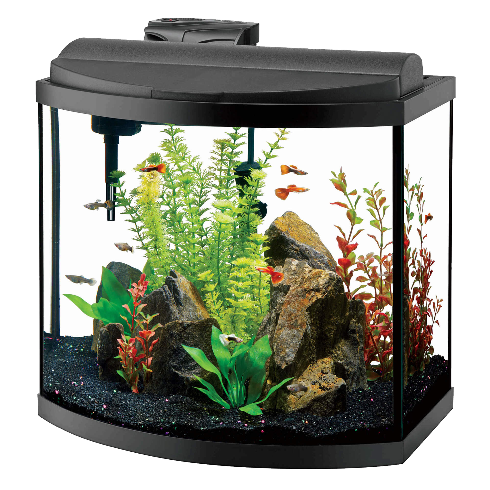 Glass Fish Tank Png HD Free Download