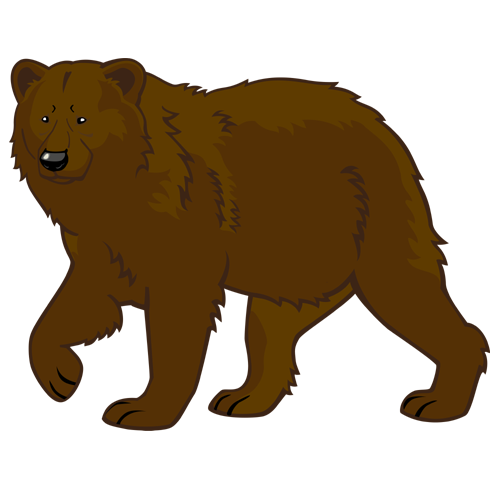 Vector Bear Png HD Free Download