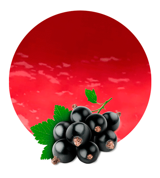 Currant Berries Black Icon Png HD Free Download