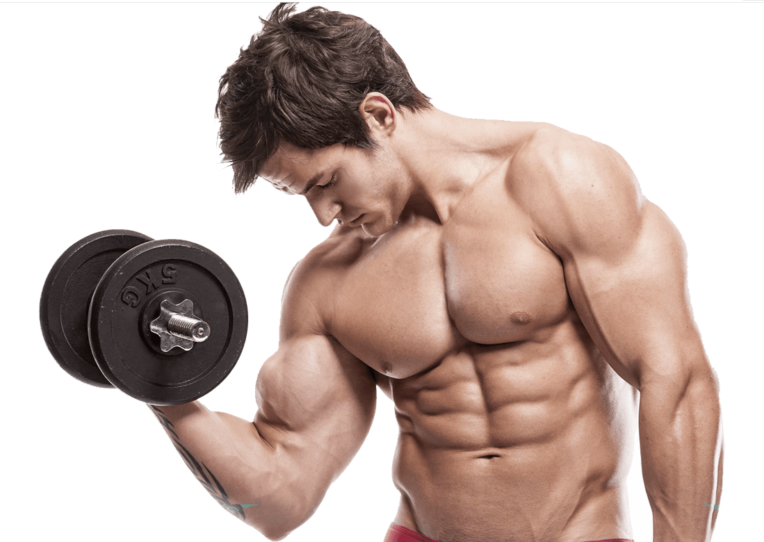 Dumbbell Male Young Fit Png HD Free Download