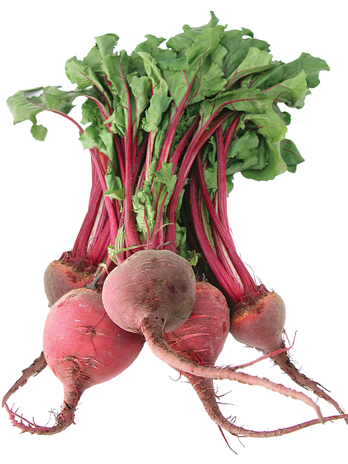 Beetroot Red Bunch Png HD Free Download