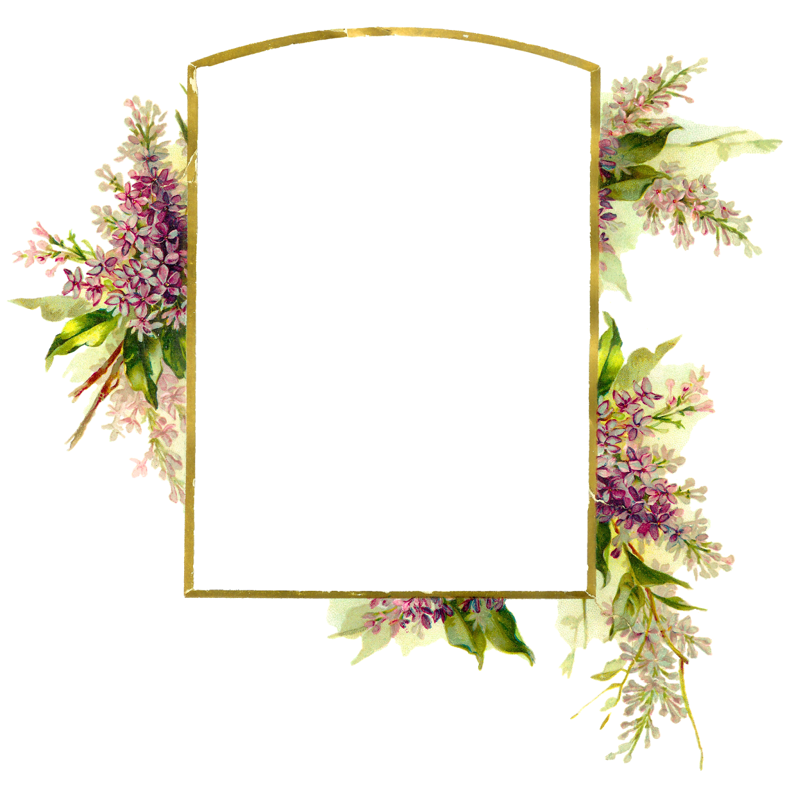 Frame Flowers Wedding Png Hd Free Download