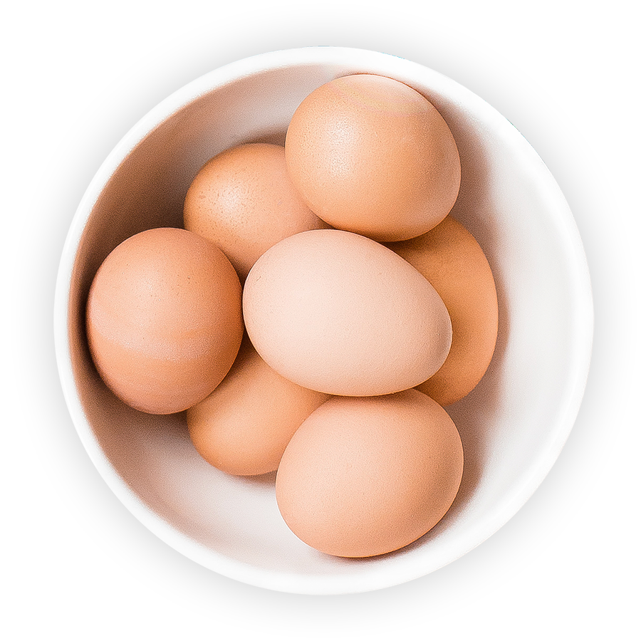 Bowl Egg Png HD Free Download