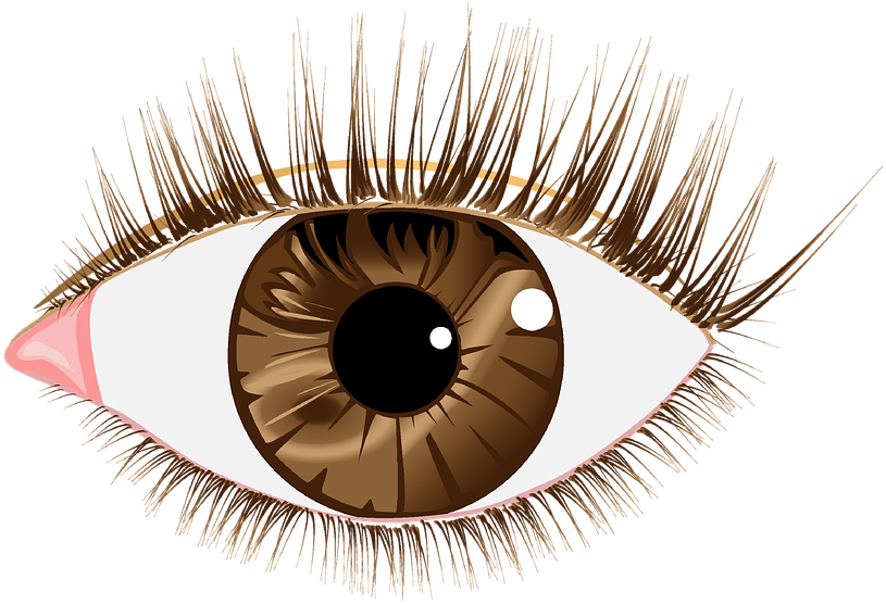 Eyes Vector Transparent Png HD Free Download