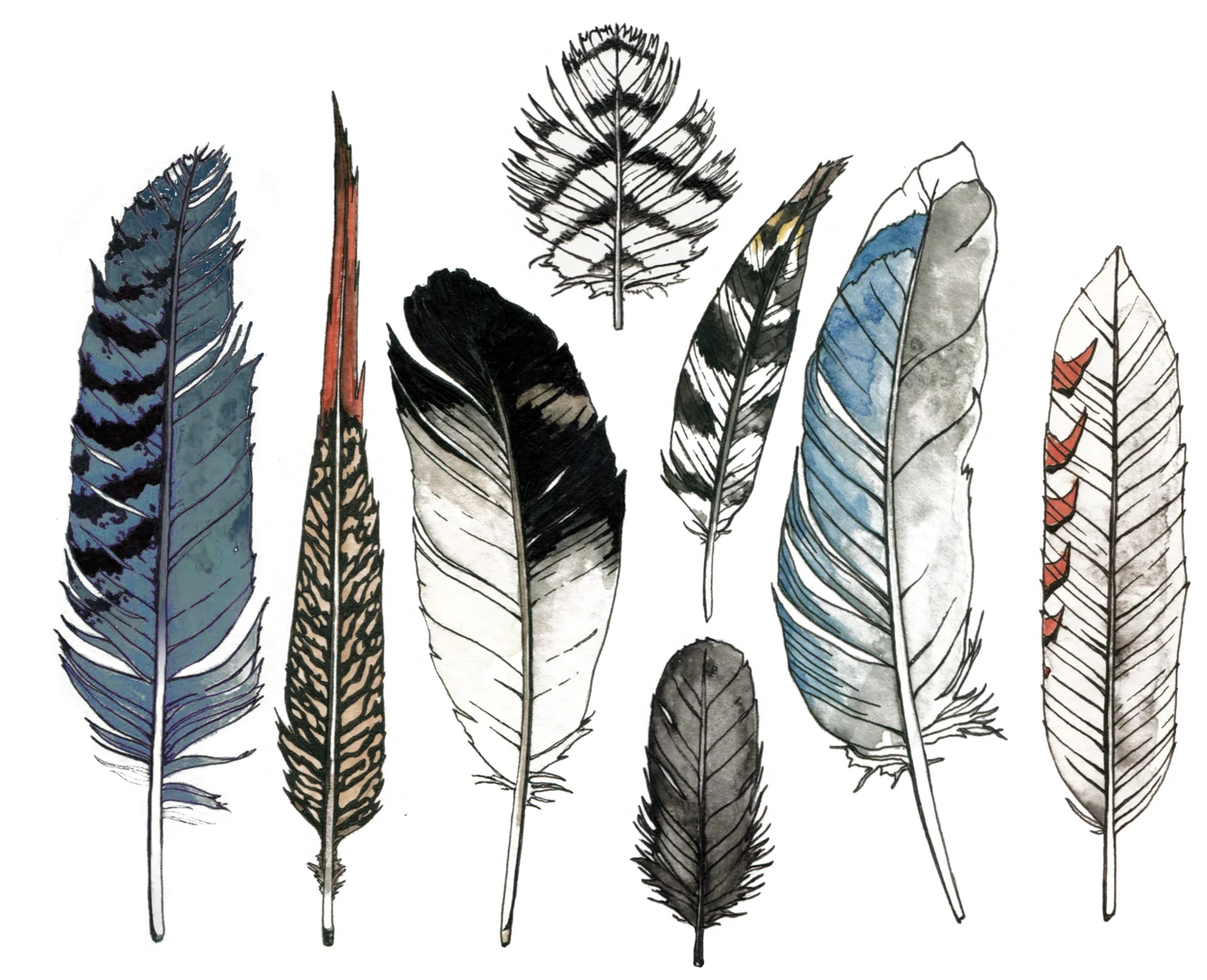 Watercolor Feather Png HD Free Download