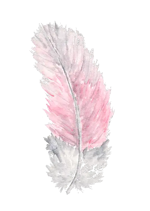 Watercolor Feather Clipart Png HD Free Download