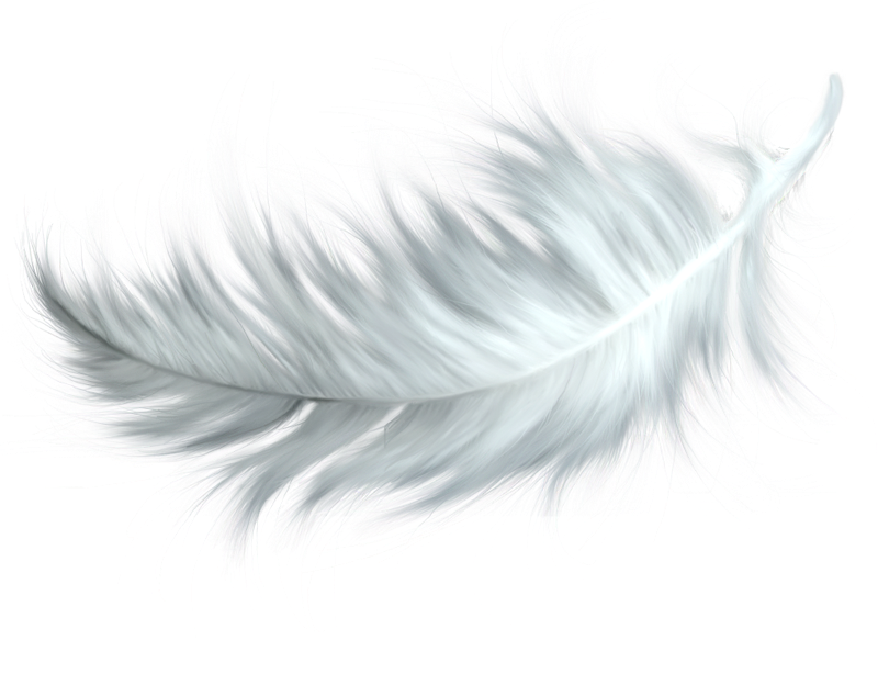 Watercolor Feather File Png HD Free Download