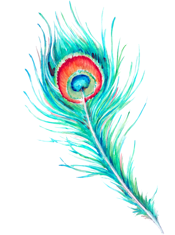 Watercolor Picture Feather Transparent Png HD Free Download