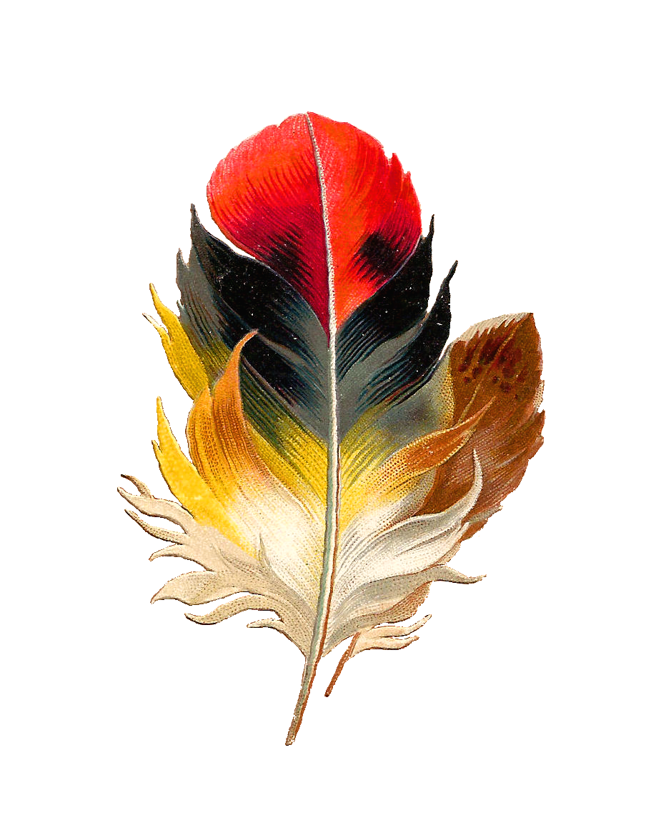 Watercolor Feather Png HD Free Download