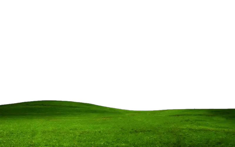 Countryside Field Green Transparent Png HD Free Download