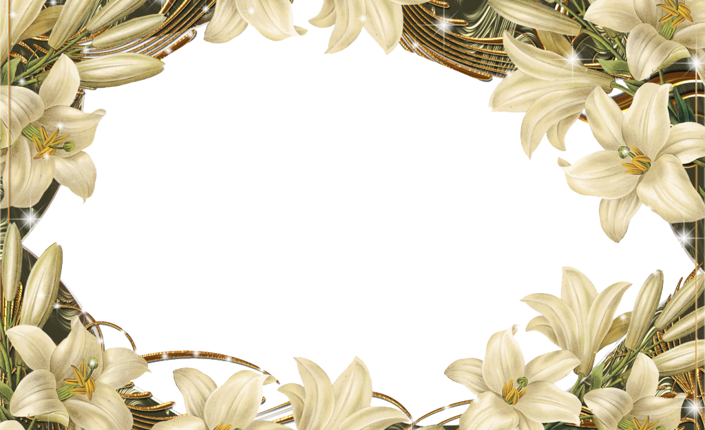 Floral Border Transparent Png Hd Free Download