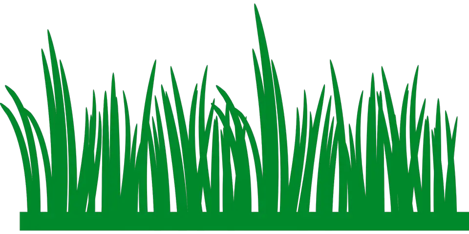 Field Green Png HD Free Download