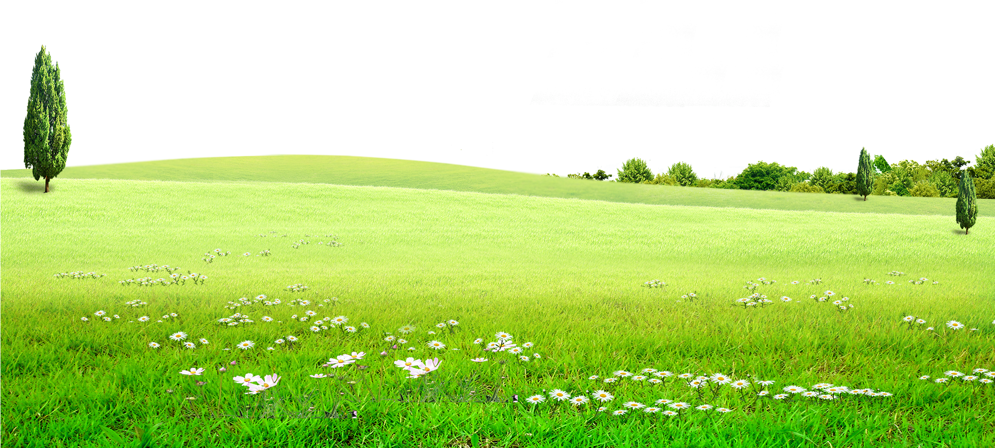 Field Green Landscape Png HD Free Download