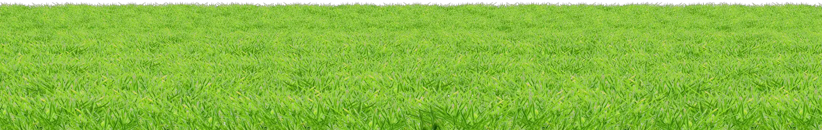 Summer Green Field Png HD Free Download