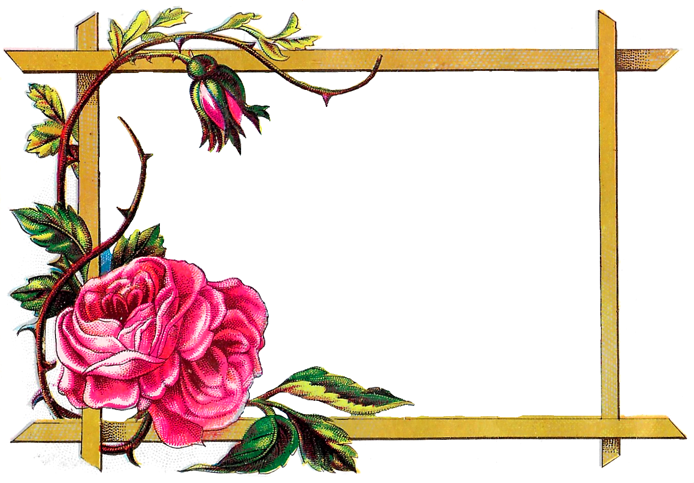 Floral Border Wedding Clipart Png Hd Free Download