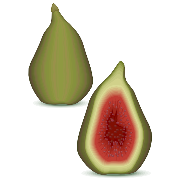 Cut Fig Half File Png HD Free Download