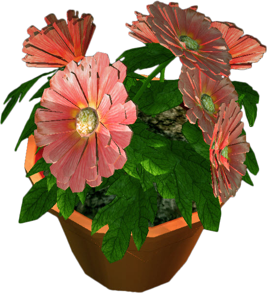 Front Pot Flower View Png Hd Free Download