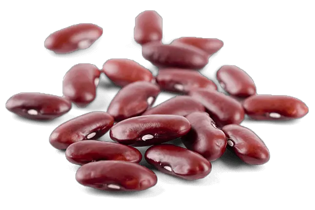 Fresh Beans Kidney Png HD Free Download