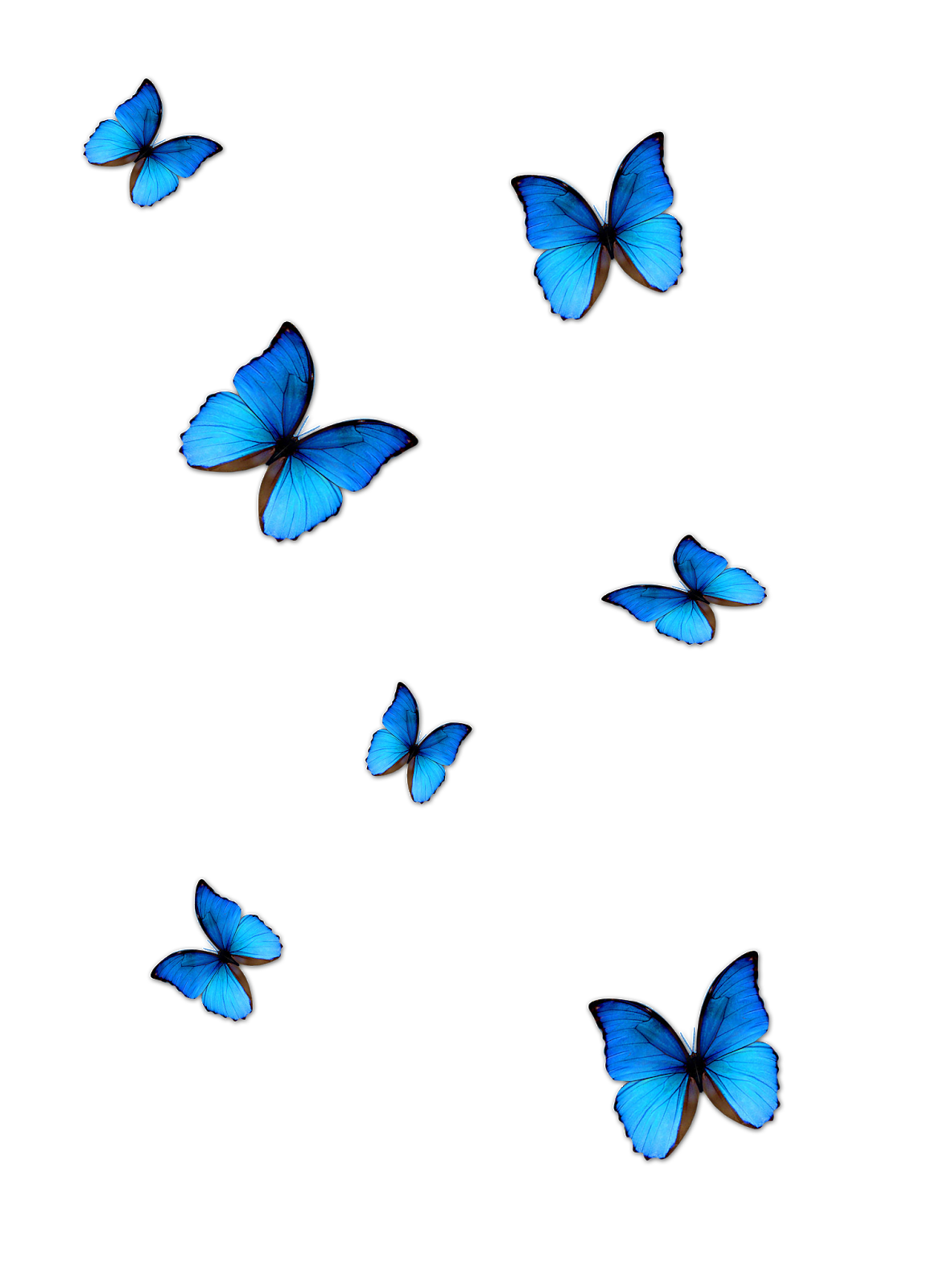 Blue Butterfly Png HD Free Download