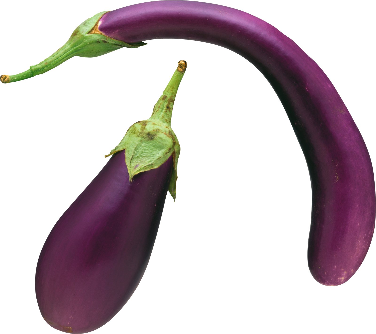 Brinjal Eggplant Png HD Free Download