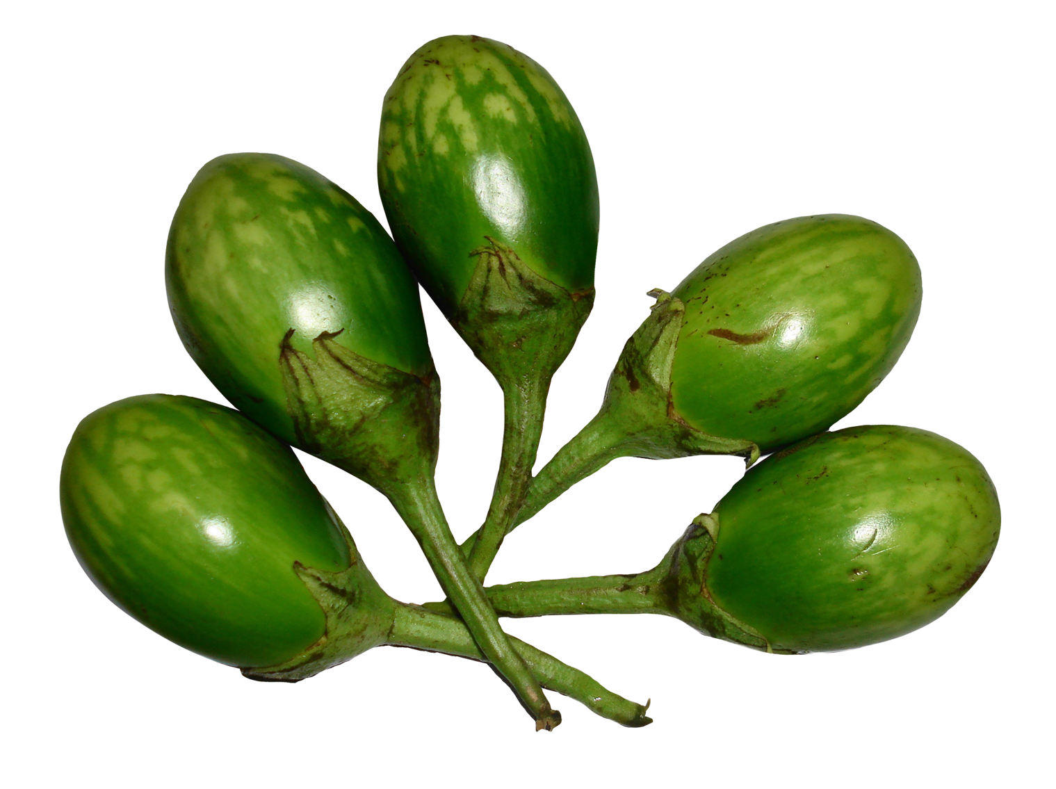 Green Brinjal Png HD Free Download