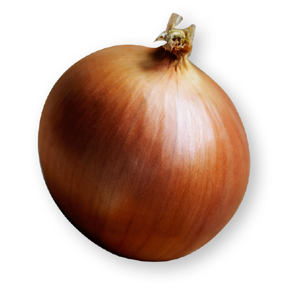 Brown Onion Png HD Free Download