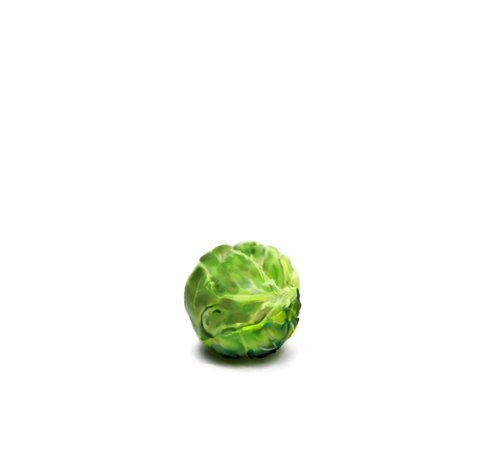 Sprouts Brussels Png HD Free Download