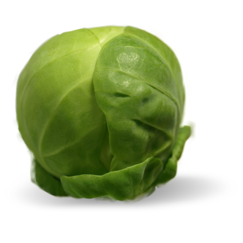 Sprouts Brussels Png HD Free Download