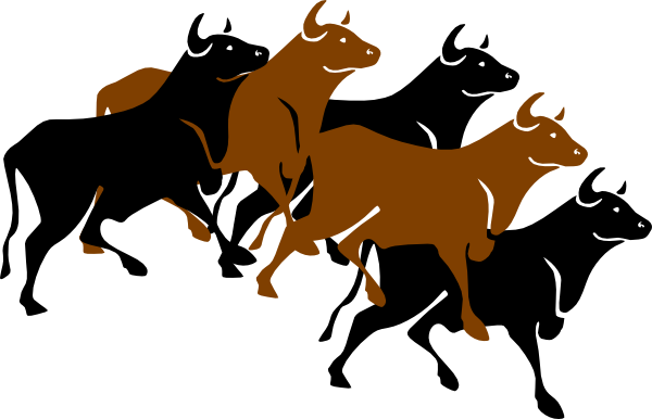 Vector Bull Png HD Free Download