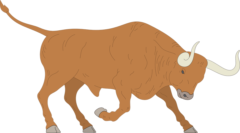 Photos Vector Bull File Png HD Free Download