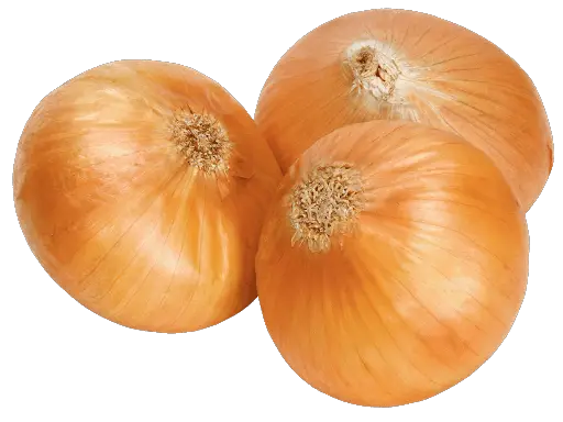 Brown Onion Bunch Png HD Free Download